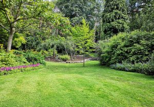 Optimiser l'expérience du jardin à Boulaincourt